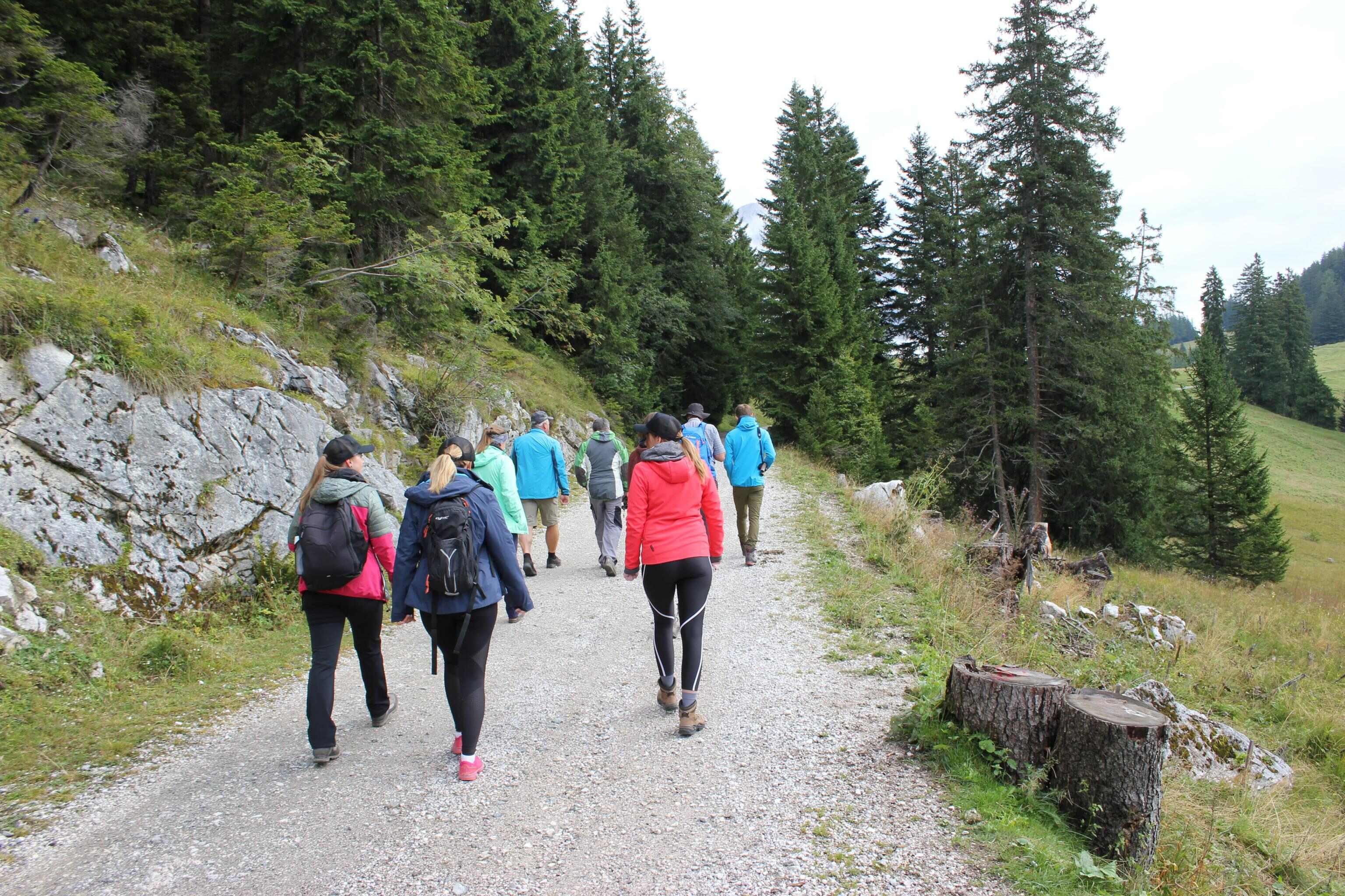 CP-Mitarbeiter und Kunden am Weg zu den Wanderalmteichen