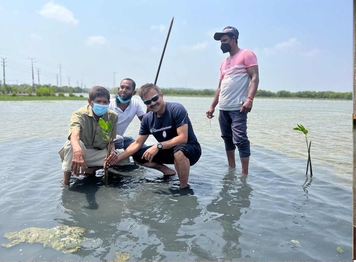 ClimatePartner Carbon Offset Project Development