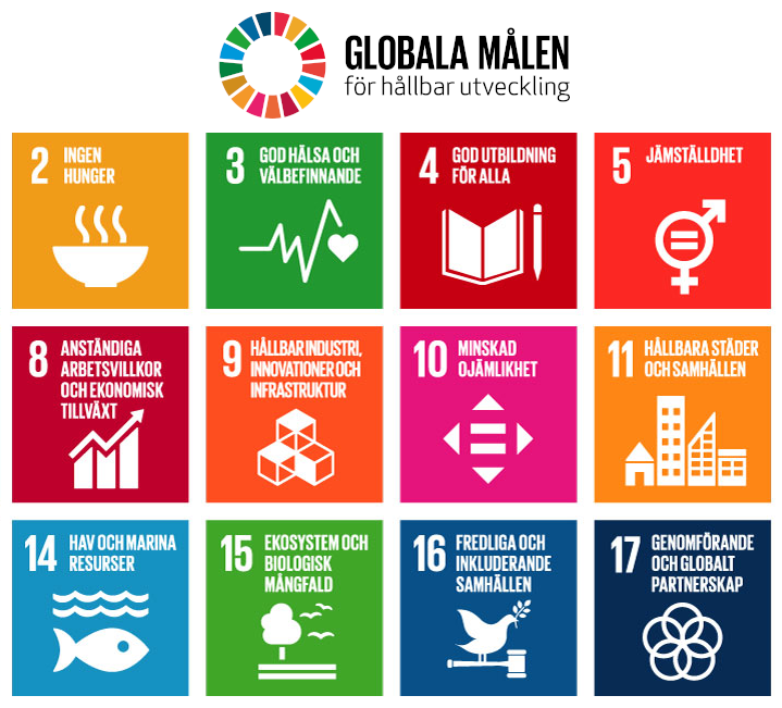 sdgs swedish