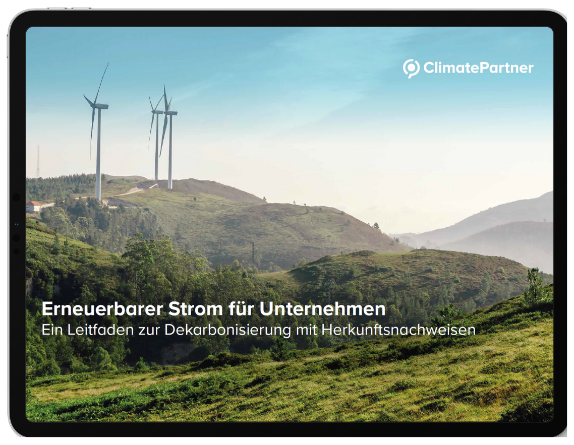 Leitfaden: Dekarbonisierung mit Herkunftsnachweisen