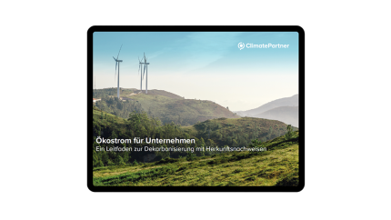 renewable electricity guide