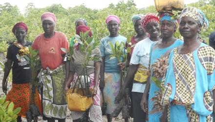 2020-12-14%20FRA%20Mangrove3.jpg