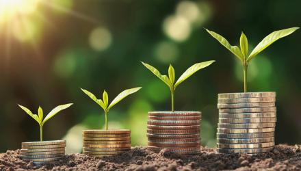Plants-coins-finance.jpg