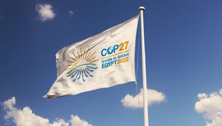 cop27-review-climatepartner_1.jpg