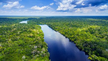 Amazon-River-Rainforest_0.jpg