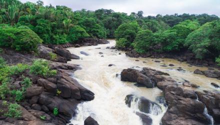 tropical-river.jpg