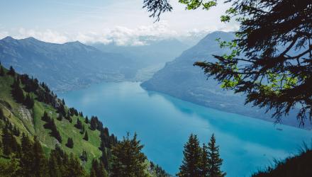 ClimatePartner_Swisstainable_1.jpg
