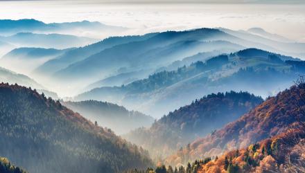 shutterstock_1212988969_new.jpg