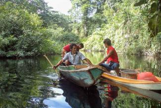 Bosbescherming in Pará, Brazilië