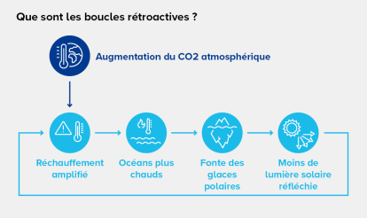 les boucles de retroaction