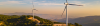 shutterstock_2468318865.png