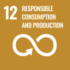 sdg 12 responsible consumption