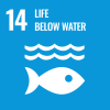 SDG 14: life below water