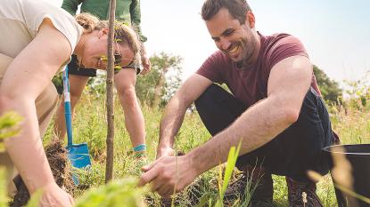 people planting a tree