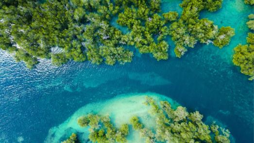 sea and island from above