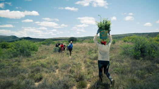 People on landscape