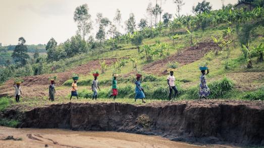 line of people carrying plants