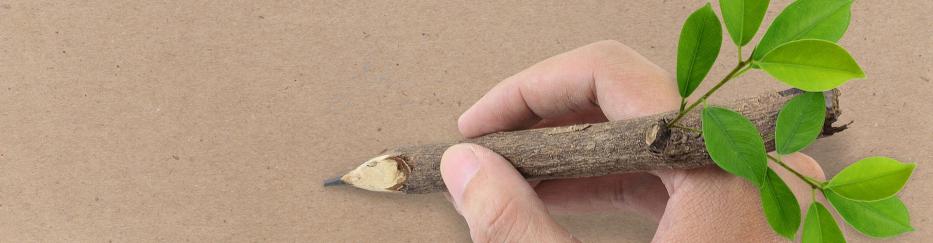 Eine Hand schreibt mit einem Stift aus einem Ast